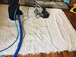 carpet cleaning in evans ga