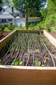 Kitchen Garden Tour My Watering