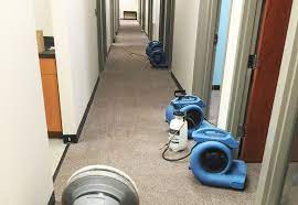commercial carpet cleaning orlando