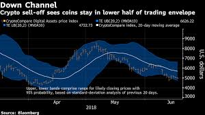 Cryptocurrency Sellers Get Fresh Ammo From Critical Bis