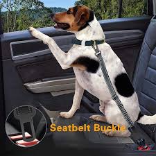 Custom Dog Safety Leash Car Seat Belt