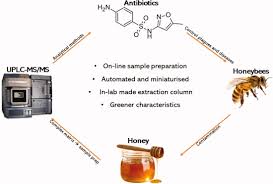 sulphonamides in brazilian honey