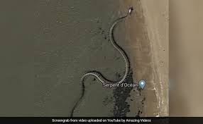 Giant 'Snake Skeleton' On Google Maps Sparks Titanoboa Theories, But...