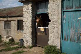Stable Without Planning Permission