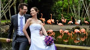 flamingo gardens wedding package