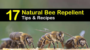 keeping bees away 17 natural bee