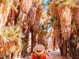 10 perfect things to do in palm springs