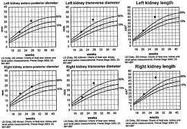 41 Skillful Kidney Growth Chart