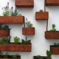 vertical garden wall