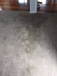 crystal carpet cleaning cleaning
