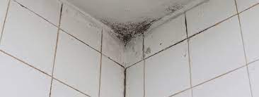 Mold On Your Bathroom Ceiling