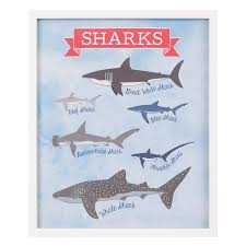Stephania Types Of Sharks Shark Chart Framed Art