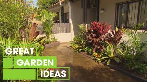 It will be more beautiful by. How To Create A Tropical Garden Gardening Great Home Ideas Youtube
