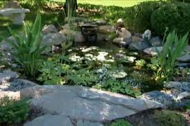 how to put a fish pond in your backyard