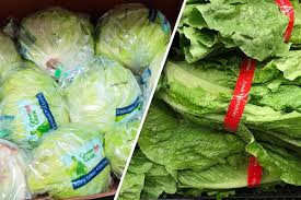 iceberg lettuce vs romaine health