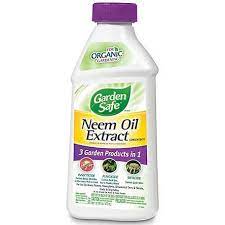 Neem Oil In Lucknow At Best By