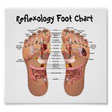 Foot Reflexology Poster Zazzle Com Foot Reflexology