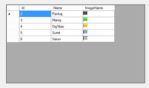 image dynamically on the data grid view