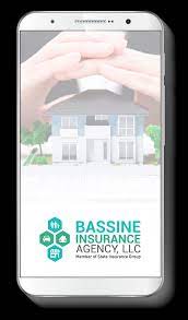 Bassine Insurance Agency gambar png
