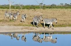 Image result for How Safe is Botswana