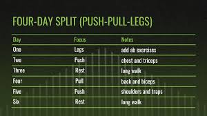 the best workout splits for muscle and