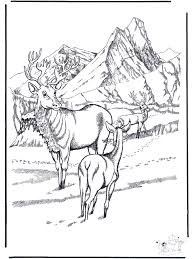 Hundreds of free spring coloring pages that will keep children busy for hours. Deer In The Snow Winter Animals