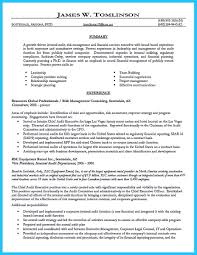 internal auditor resume sample resume