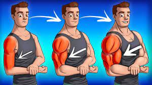 10 best exercises for big arms