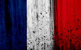 Slikovni rezultat za francuska zastava
