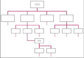 Hierarchical Organization Chart 15 Download Scientific