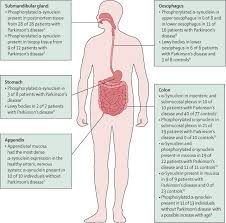 gastrointestinal dysfunction in
