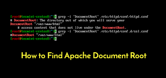 how to find apache doent root in linux
