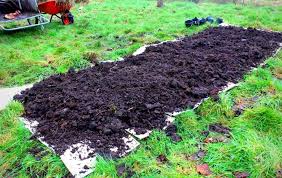 How To Start A No Dig Garden Bed