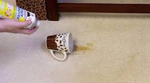 canelli stain remover carpet pet