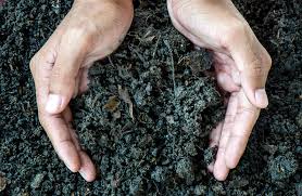 10 ways to conserve soil lovetoknow
