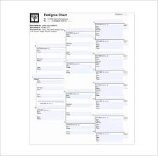 10 Pedigree Chart Templates Pdf Doc Excel Free