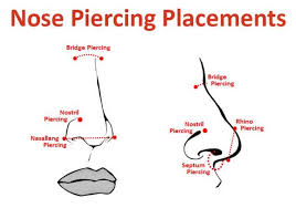 Nose Piercing Faqs Painfulpleasures Inc In 2019 Rhino