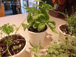 So Simple Diy Kitchen Herb Garden