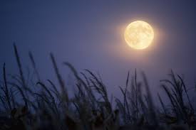 Full Moon September 2021 Meaning - What September 2021's Full Moon In Pisces Means For Your Sign