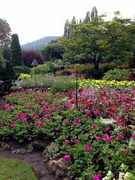 august visit to butchart gardens
