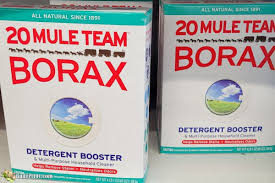 how to get rid of ants with borax by