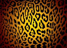 leopard print computer wallpapers