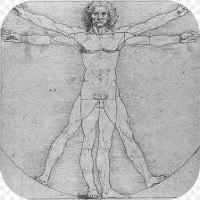 Abrahams, a clinical anatomist, has lent his knowledge to an audio tour of the exhibit of leonardo's anatomical drawings that opened may 4 in buckingham palace. Vitruvian Man Anatomical Drawings Anatomy Human Body Png 1024x1024px Watercolor Cartoon Flower Frame Heart Download Free