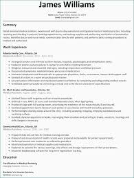 Examples Of Good Resume Objective Statements Resume Template