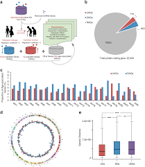 An Analysis Of Aging Related Genes Derived From The Genotype