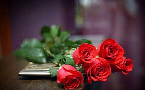 hd wallpaper red roses love flower