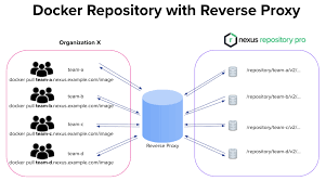 docker repository reverse proxy strategies
