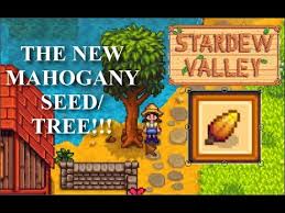 1 5 Update Mahogany Seed Tree