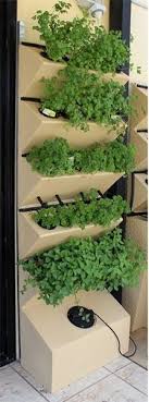 How To Set Up Hydroponics At Home