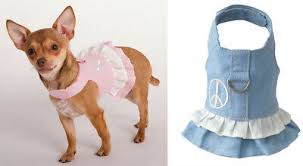 Denim Dog Harness By Doggles Blue Jean Style Size Choice